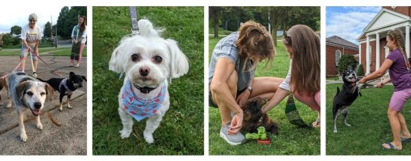 Blessing of the Animals