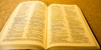 Bible Study